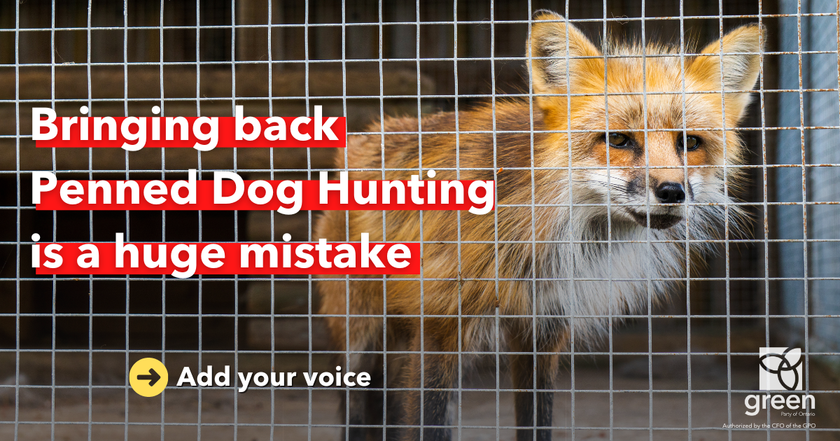 Penned dog hunting facilities are inhumane. Trapping wild animals only to bring them to enclosures so they can be chased by packs of dogs goes against basic conservation principles and basic morality.