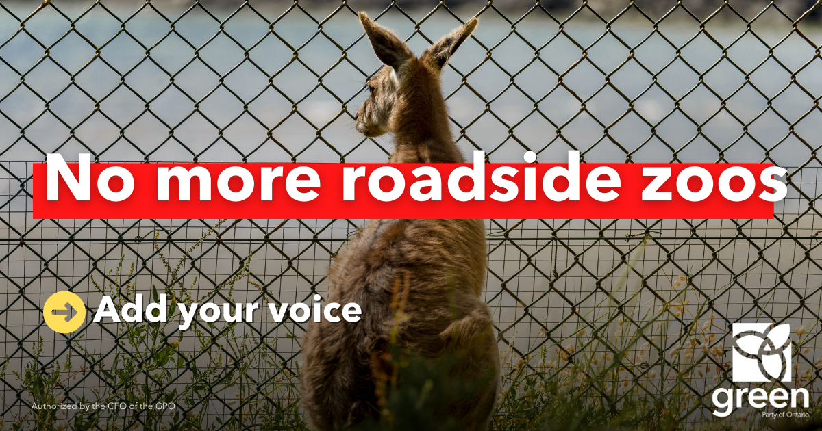 Tell Doug Ford: No more roadside zoos