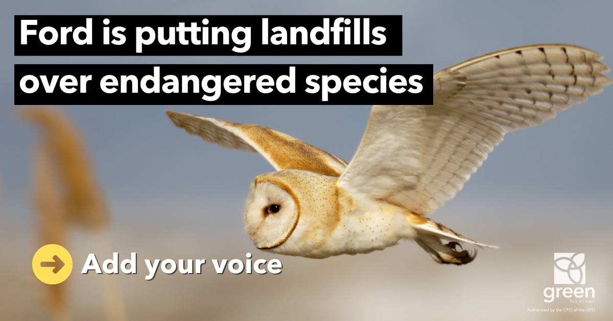 Ontario’s wildlife is under threat — take action now